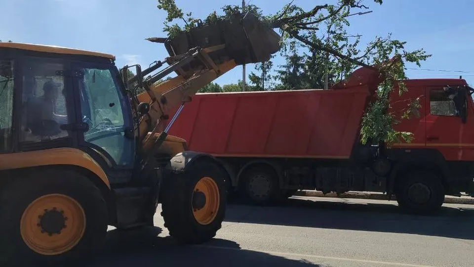 Фото: пресс-служба Администрации г.о. Жуковский