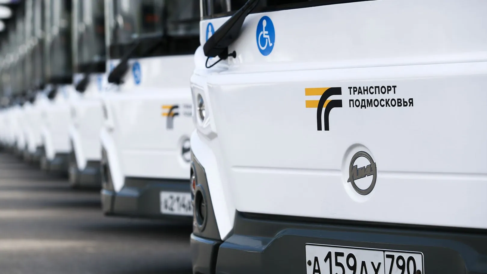 Фото: медиасток.рф