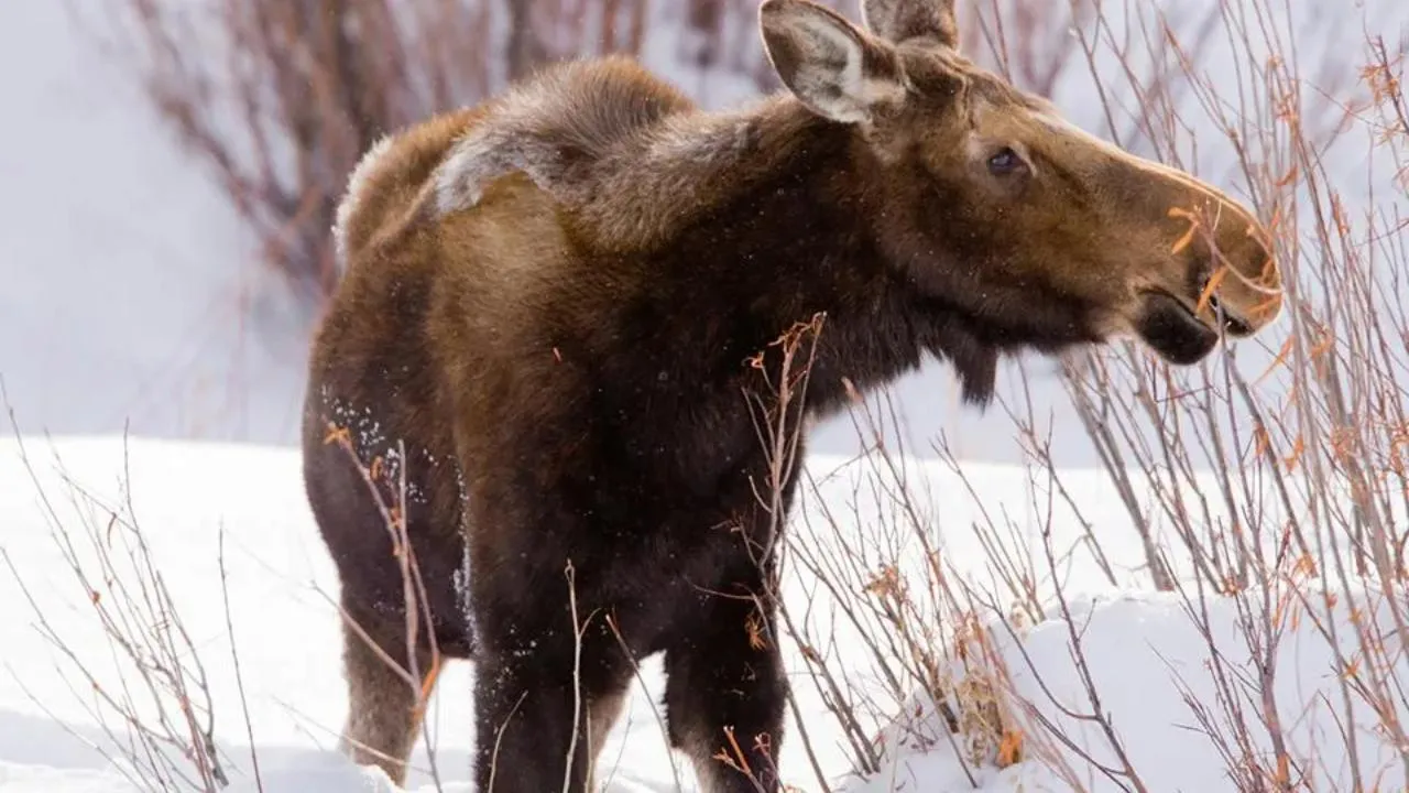 istockphoto.com/KenCanning