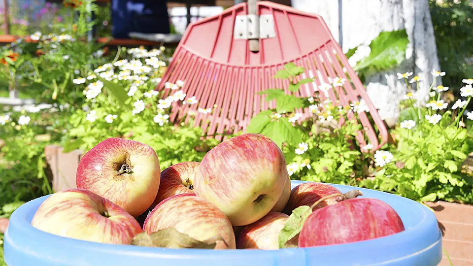 Фото: Наталья Бычкова