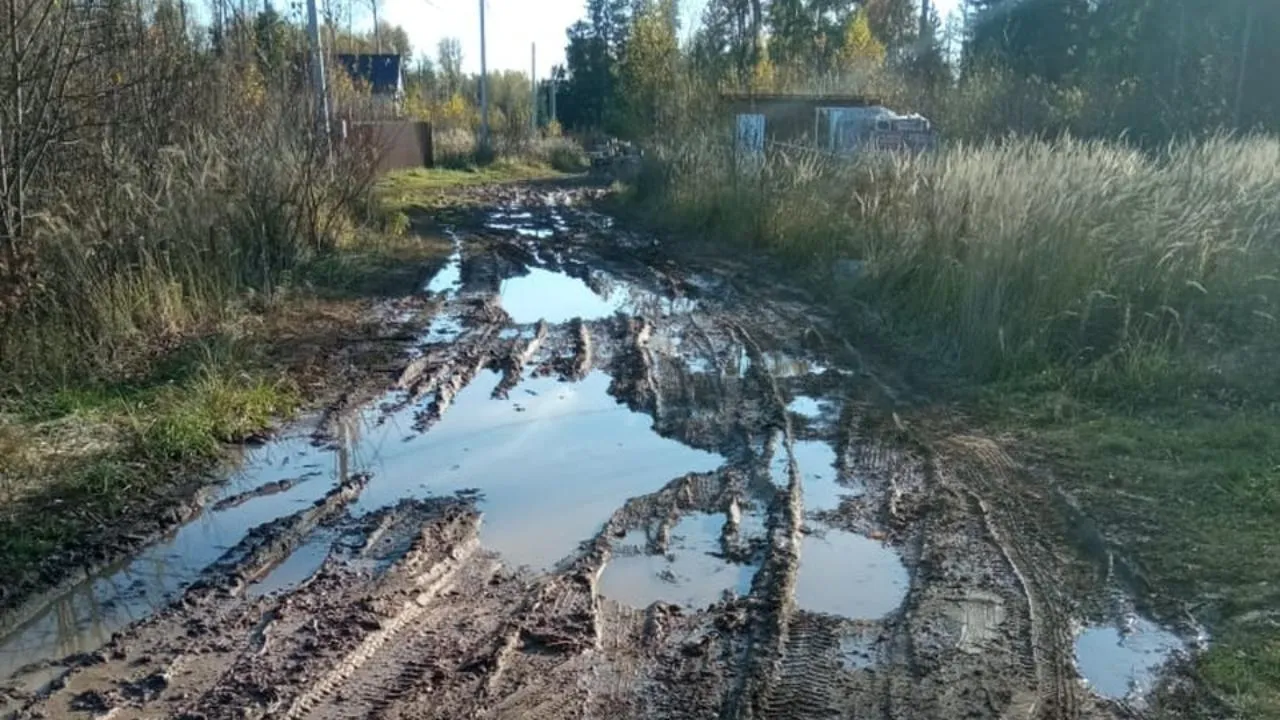 Многодетные семьи в деревне под Одинцово восьмой год живут без дорог