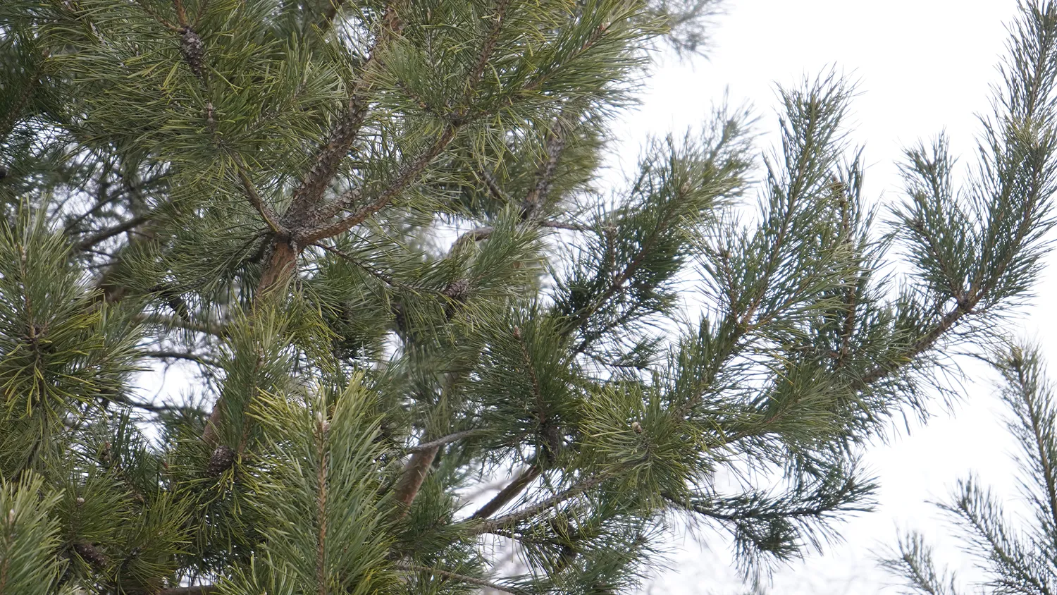 Фото: Екатерина Елисеева