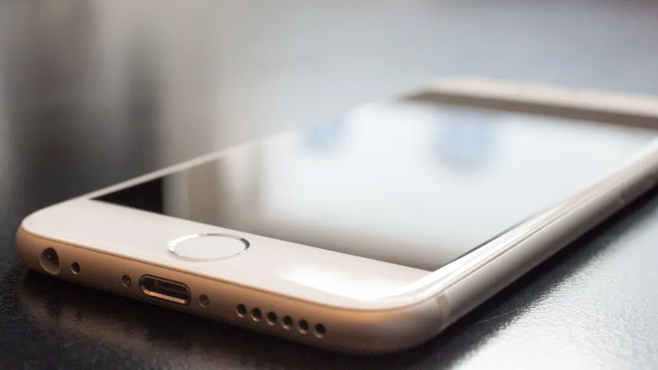 Фото: pxhere.com