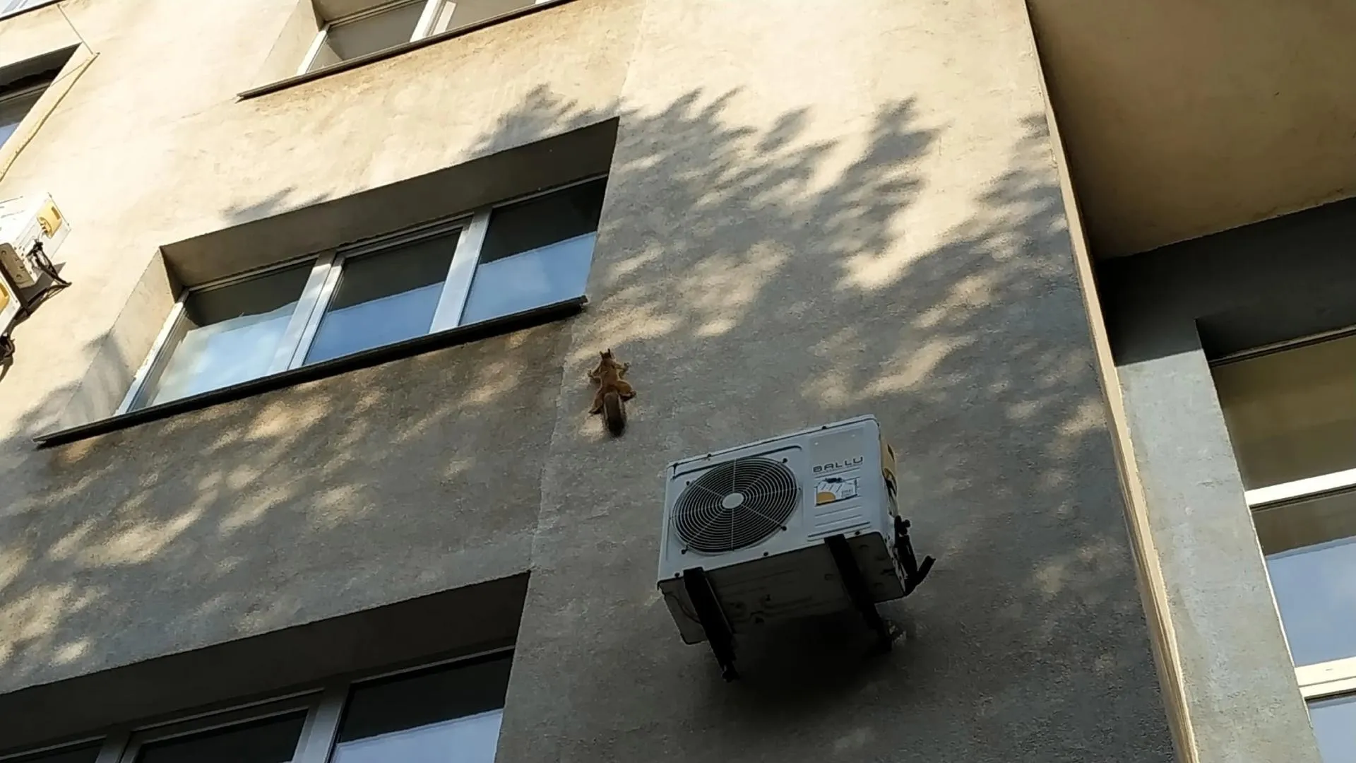 Фото: Истра / ВКонтакте