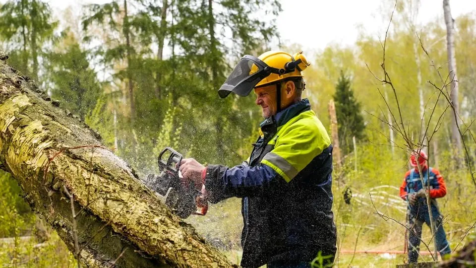 Фото: пресс-служба губернатора и правительства Московской области/Александра Степанова