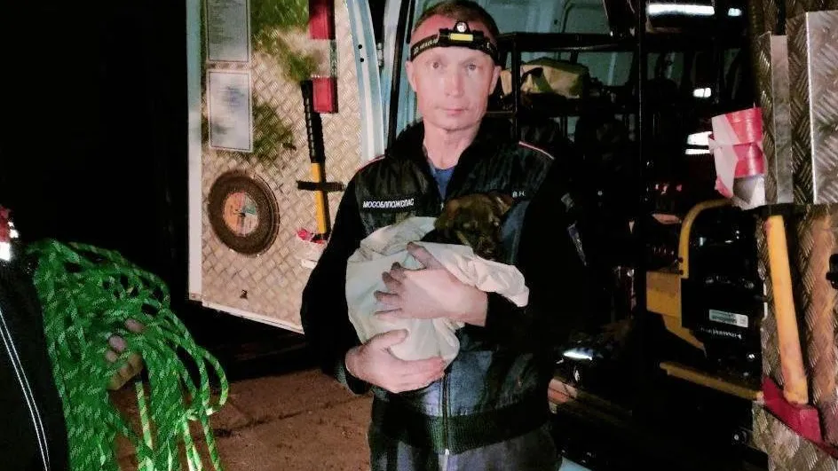 Фото: пресс-служба ГКУ МО «Мособлпожспас»