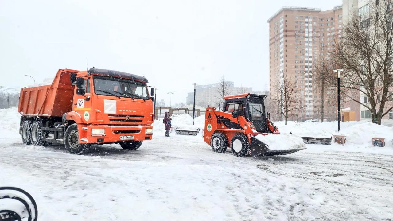 REGIONS/Мария Андрюхина