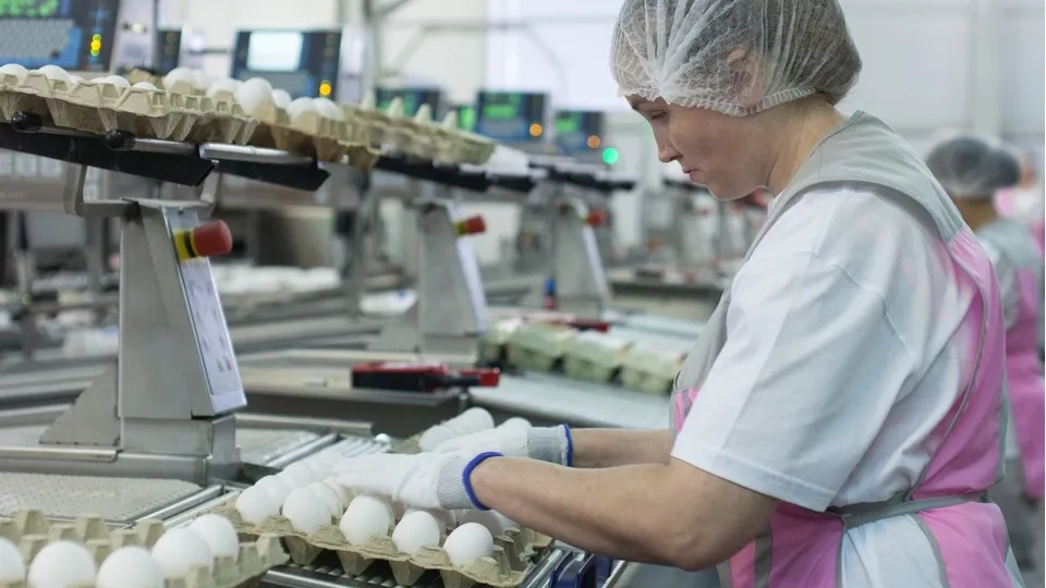 Фото: РИА Новости/Наталья Горшкова