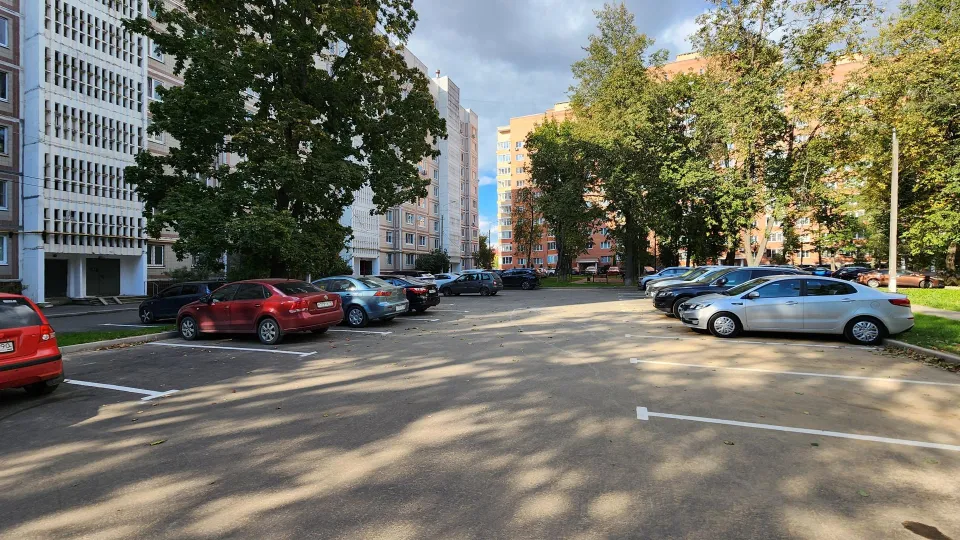 Фото: МедиаБанк Подмосковья/Дмитрий Алексеенко