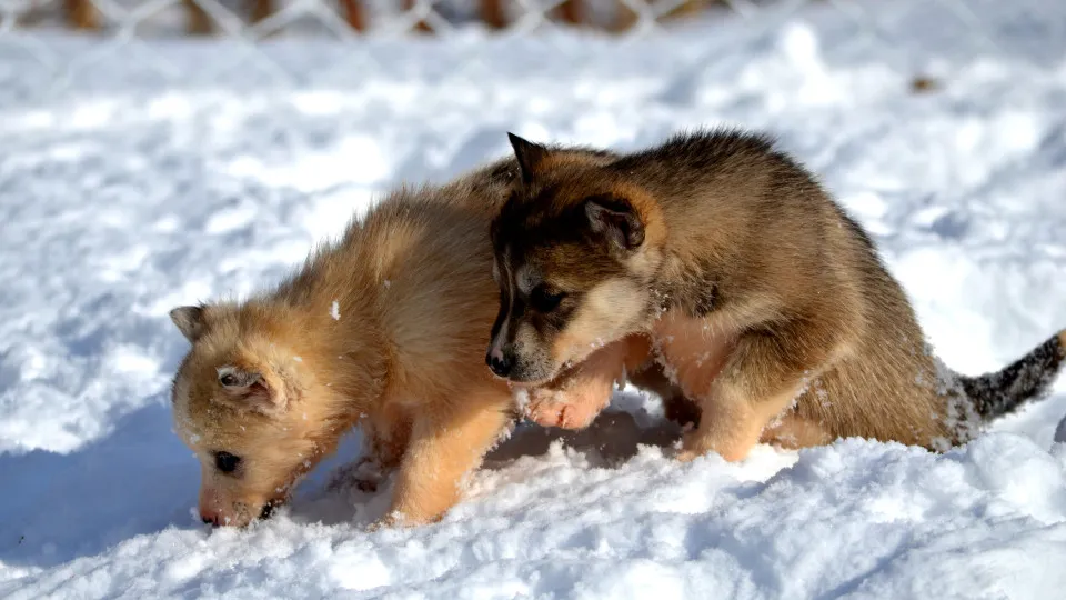 Фото: pxhere.com