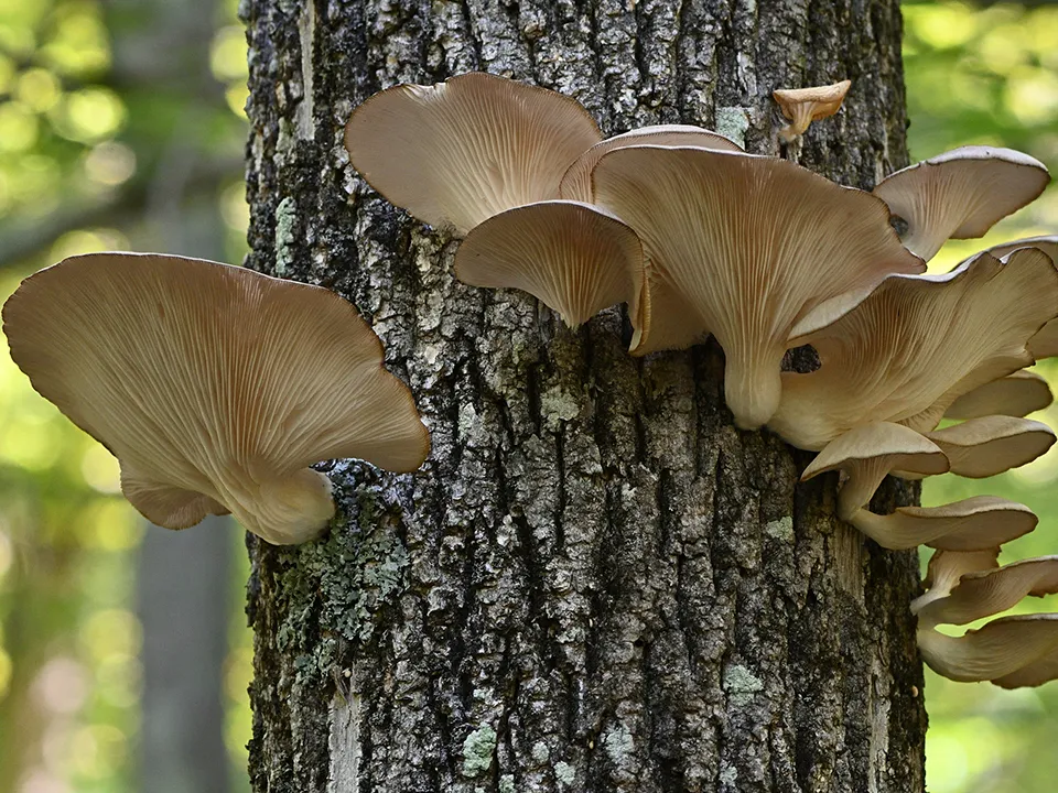 Фото: istockphoto.com