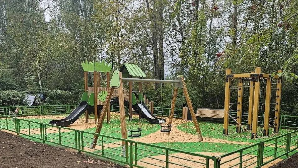 Фото: пресс-служба администрации Богородского городского округа