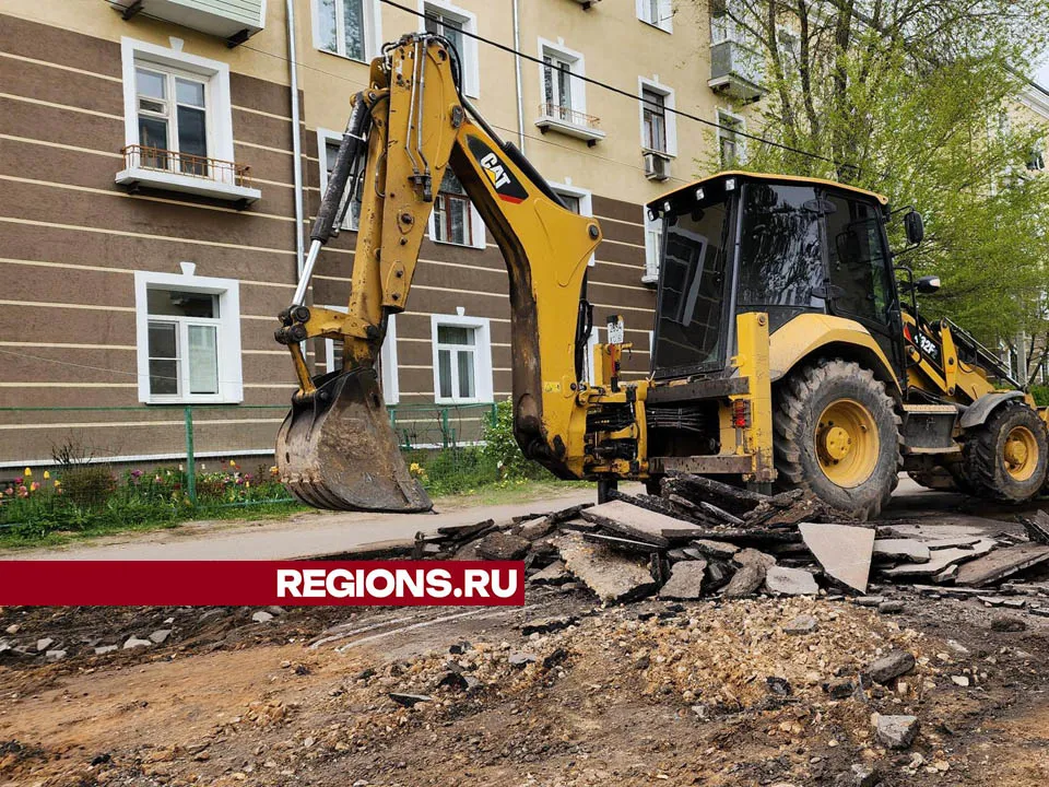 Фото: Валерия Тингаева