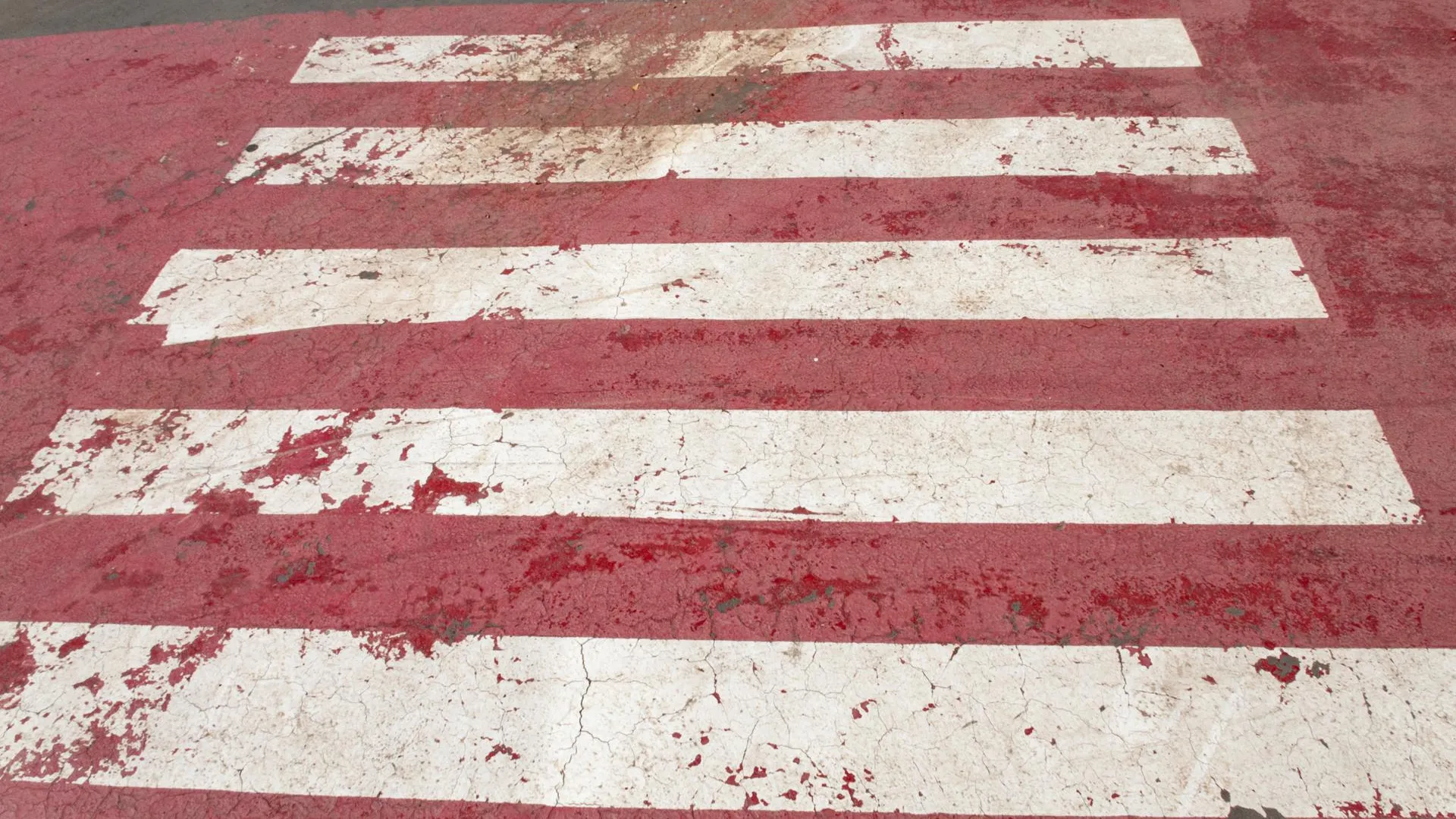 Svetlana Vozmilova/Global Look Press