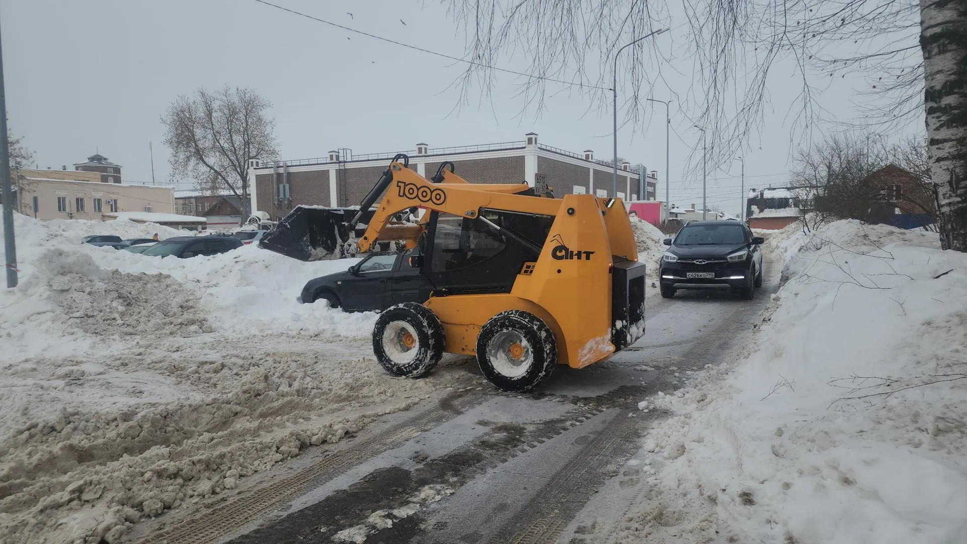 Алена Притула