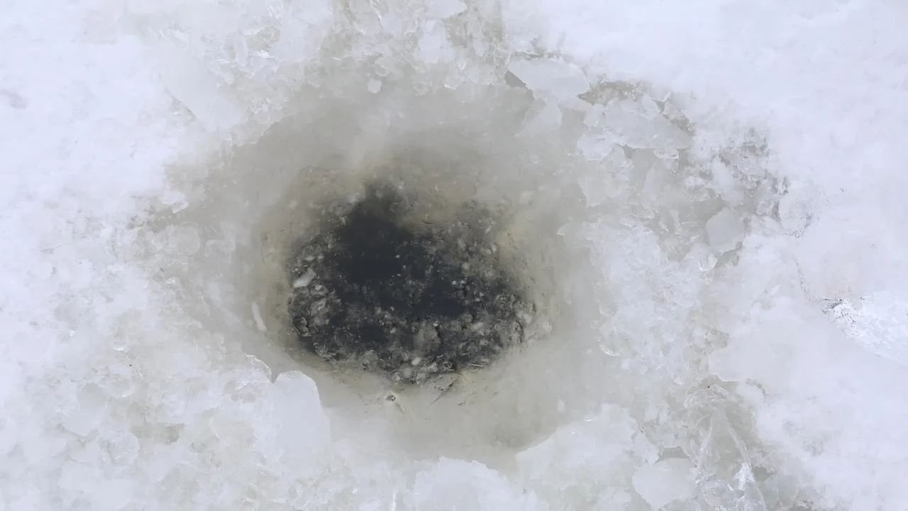 REGIONS/Александр Дрожжин