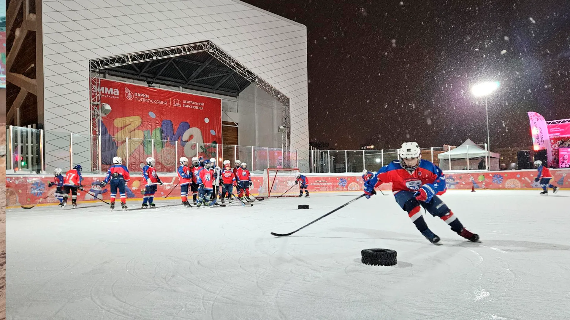 МедиаБанк Подмосковья/Вероника Горбачева