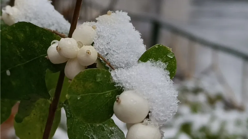Фото: МедиаБанк Подмосковья/Екатерина Дятловская