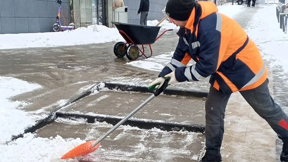 Фото: Служба содержания и благоустройства территорий г. о. Щелково