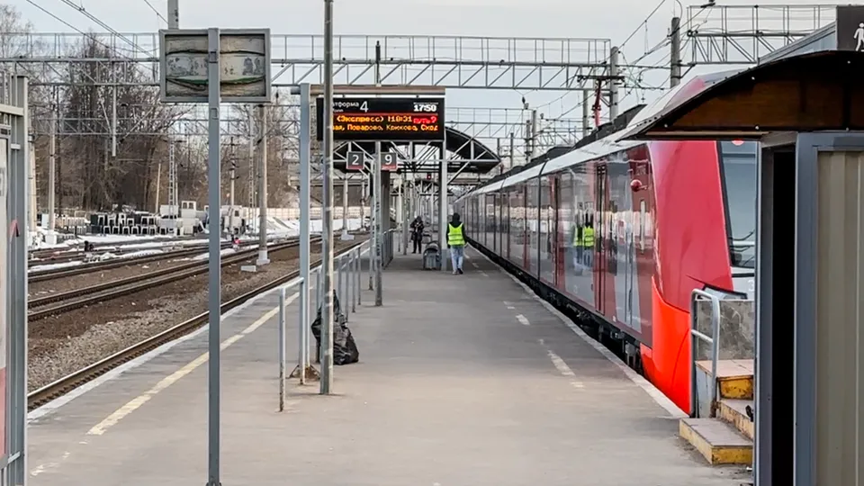 Фото: МедиаБанк Подмосковья/Данила Кирьянов