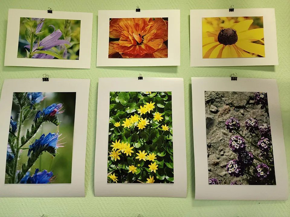 Фото: Вера Коренева