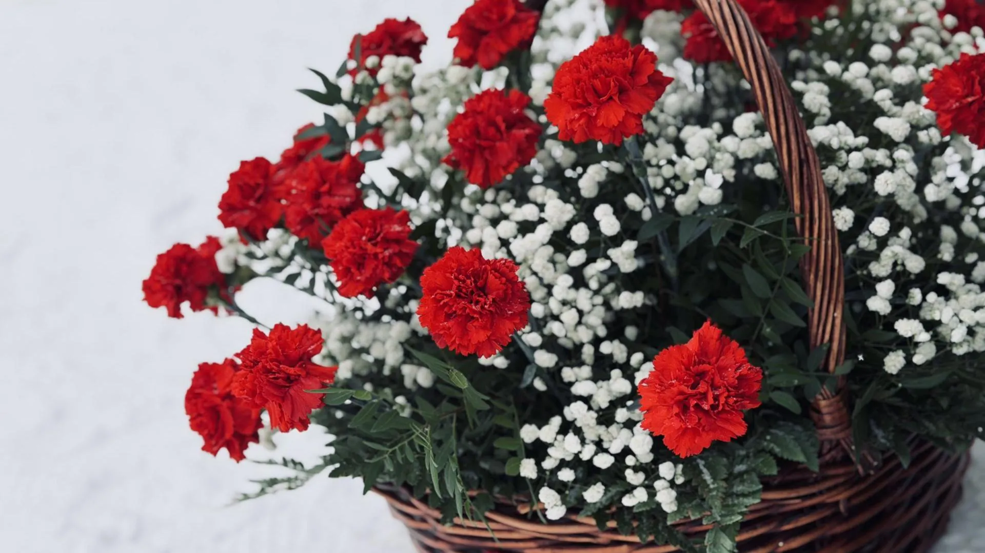 МедиаБанк Подмосковья/Ольга Стаферова