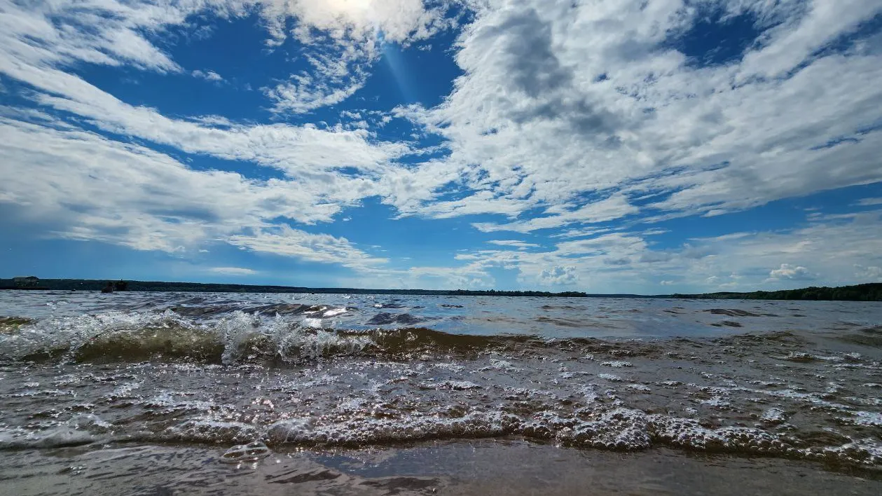 Фото: МедиаБанк Подмосковья/Яна Шаливская