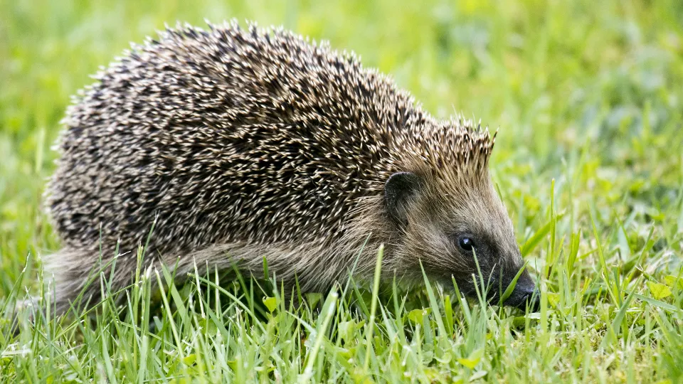 Фото: freepik.com