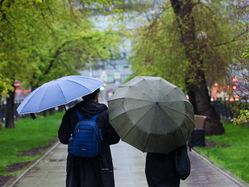 Фото: ТАСС/Сергей Булкин