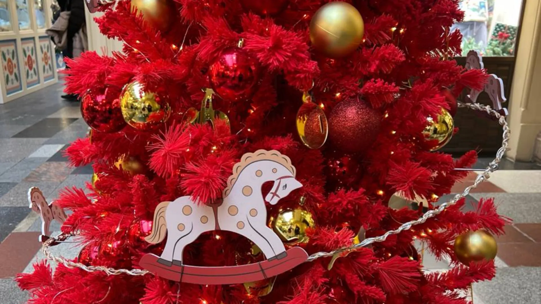 Фото: REGIONS/Елена Фурман