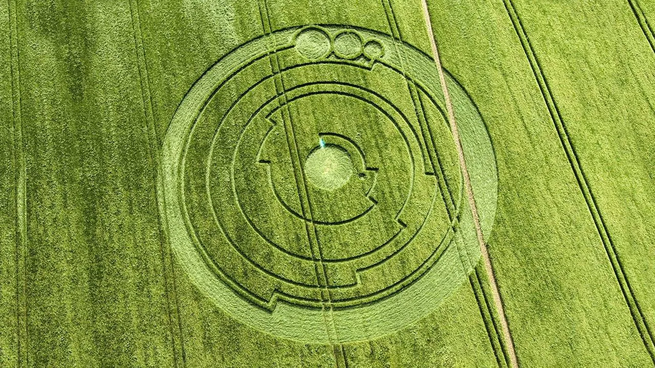 Социальные сети