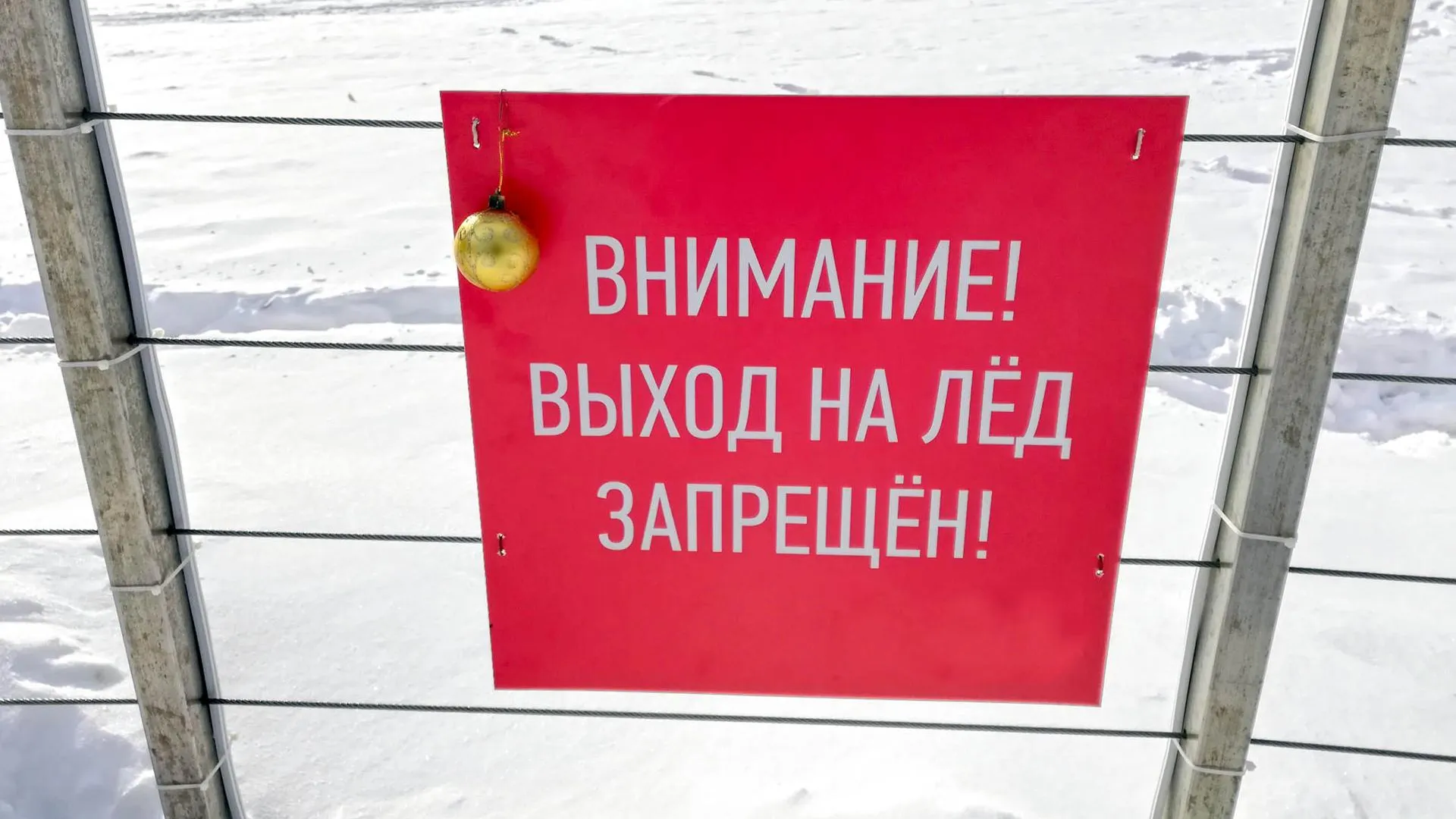 Фото: социальные сети