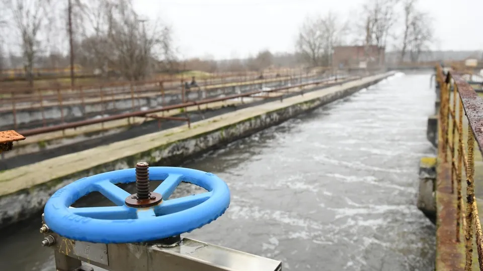 Фото: пресс-служба администрации Дмитровского м.о.