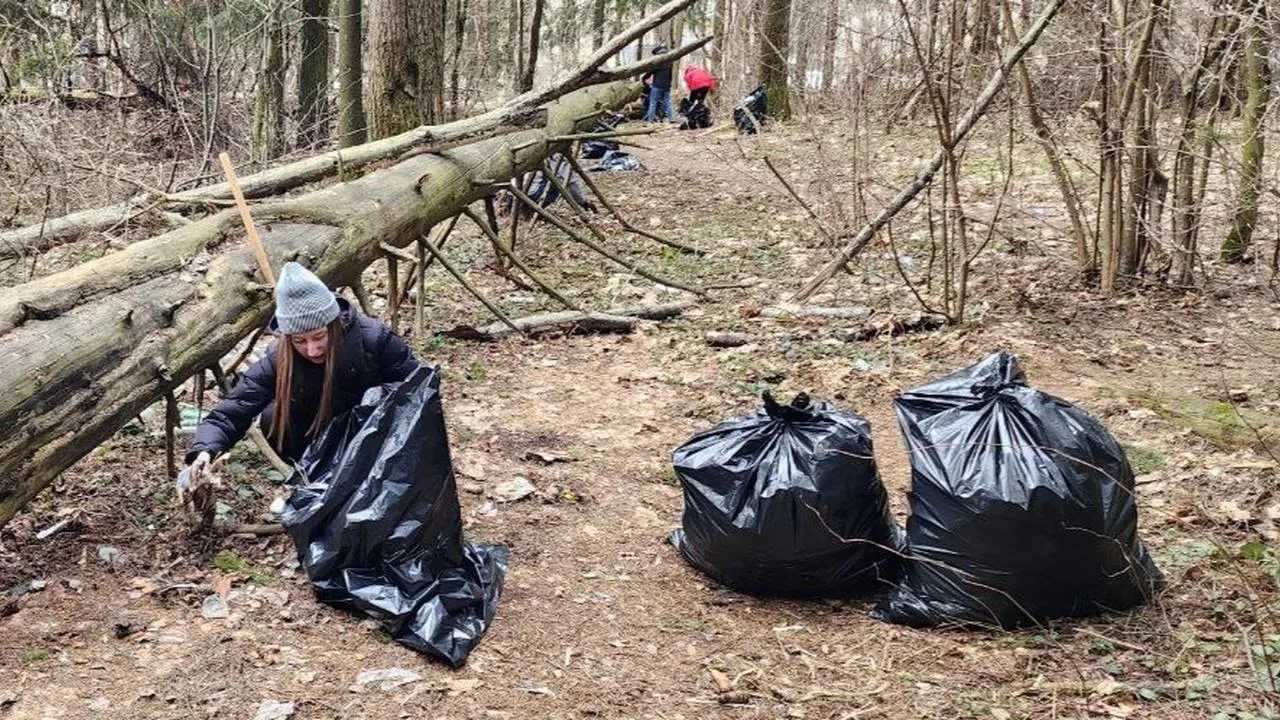 МедиаБанк Подмосковья/Евгения Герасимова