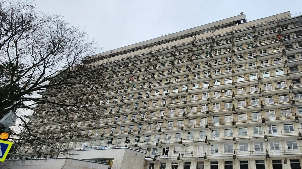 Фото: Дмитрий Павлов