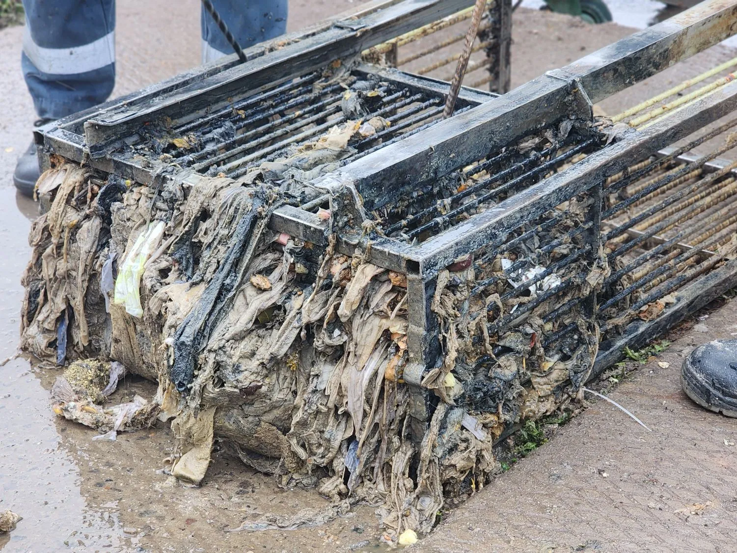 Фото: Медиабанк Подмосковья/Валерия Тингаева