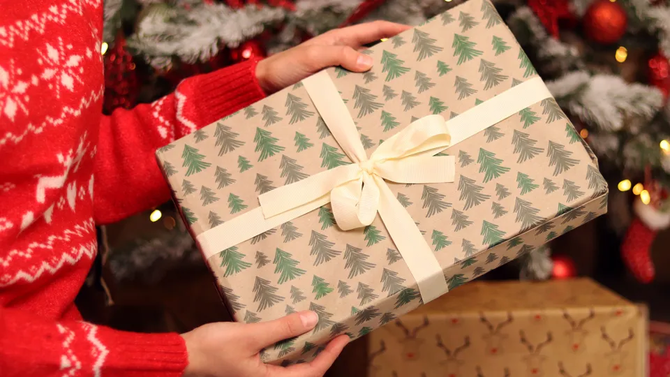 Фото: istockphoto.com/Mariia Klymenko