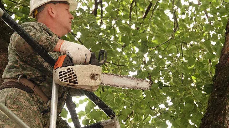 Фото: МедиаБанк Подмосковья/Дарья Леонова