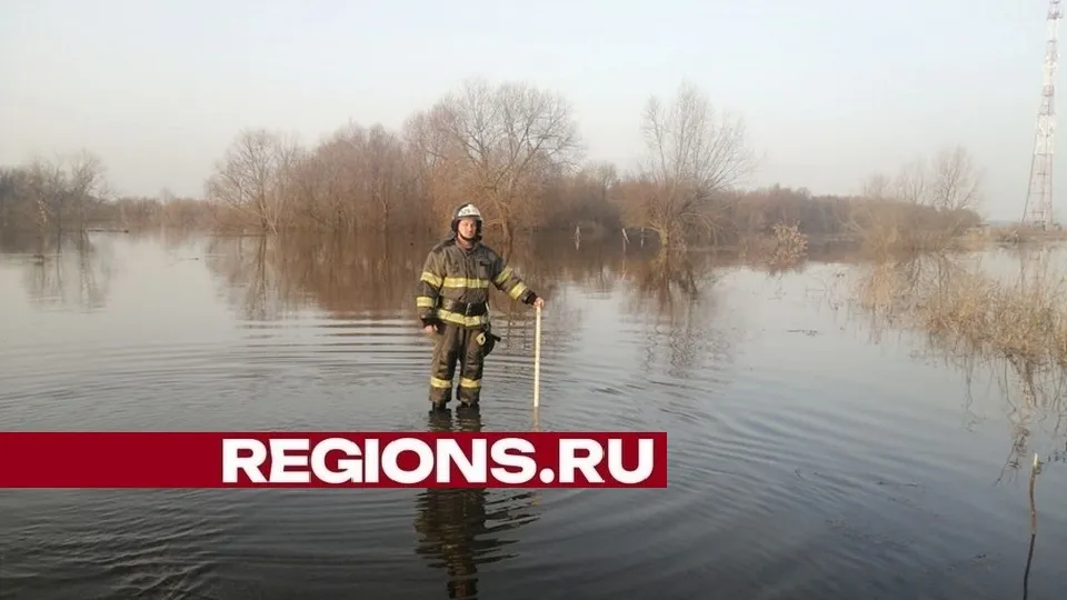 Фото: пресс-служба Администрации городского округа Луховицы