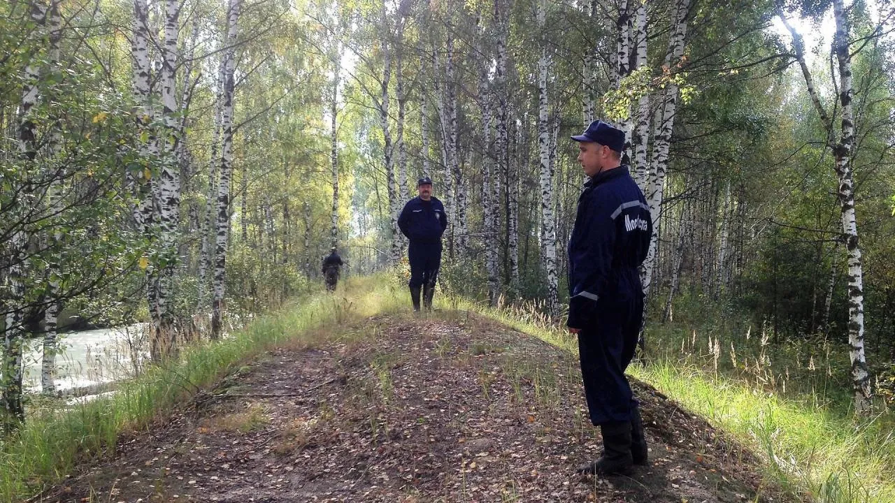 Жителям Подмосковья напомнили о правилах безопасного поведения в лесу осенью