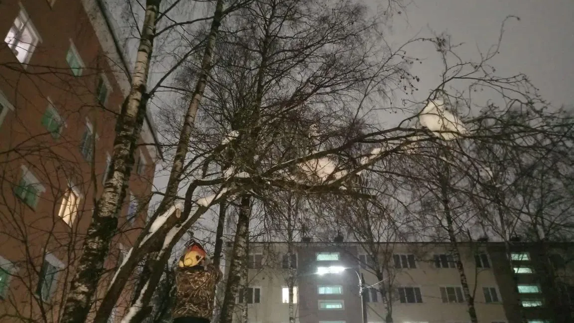 Министерство по содержанию территорий и государственному жилищному надзору Московской области