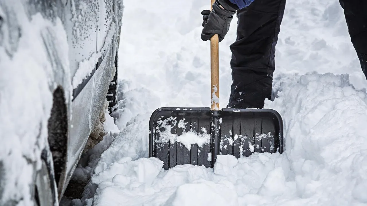 istockphoto.com/mbbirdy