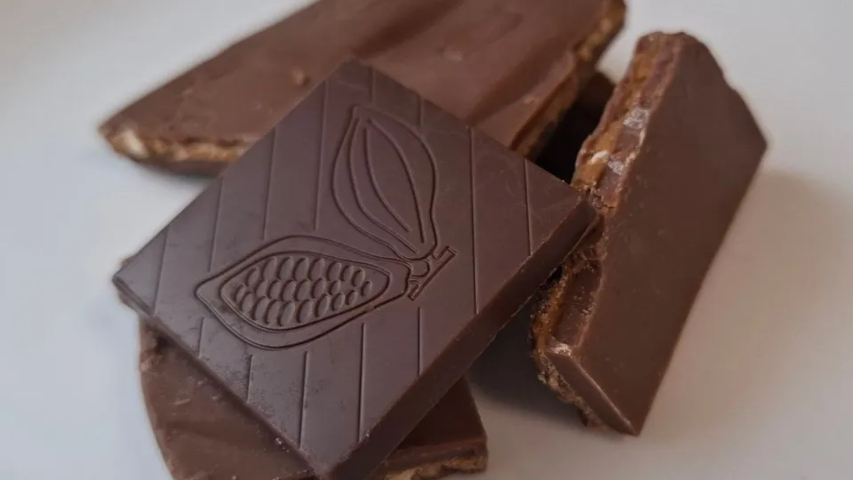 Фото: REGIONS/Юлия Габбасова