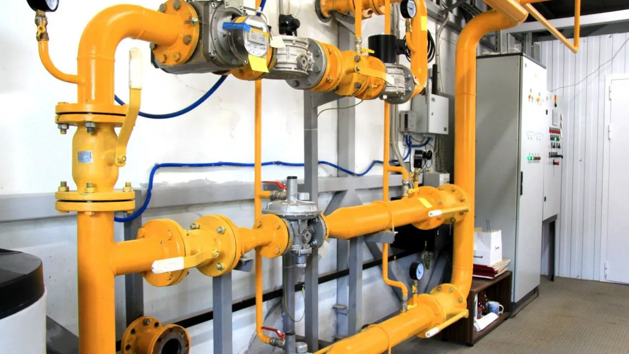 Фото: пресс-служба администрации г.о. Зарайск.