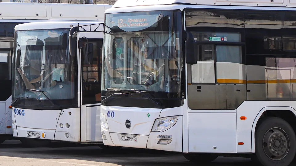 Фото: REGIONS/Наталия Надточая