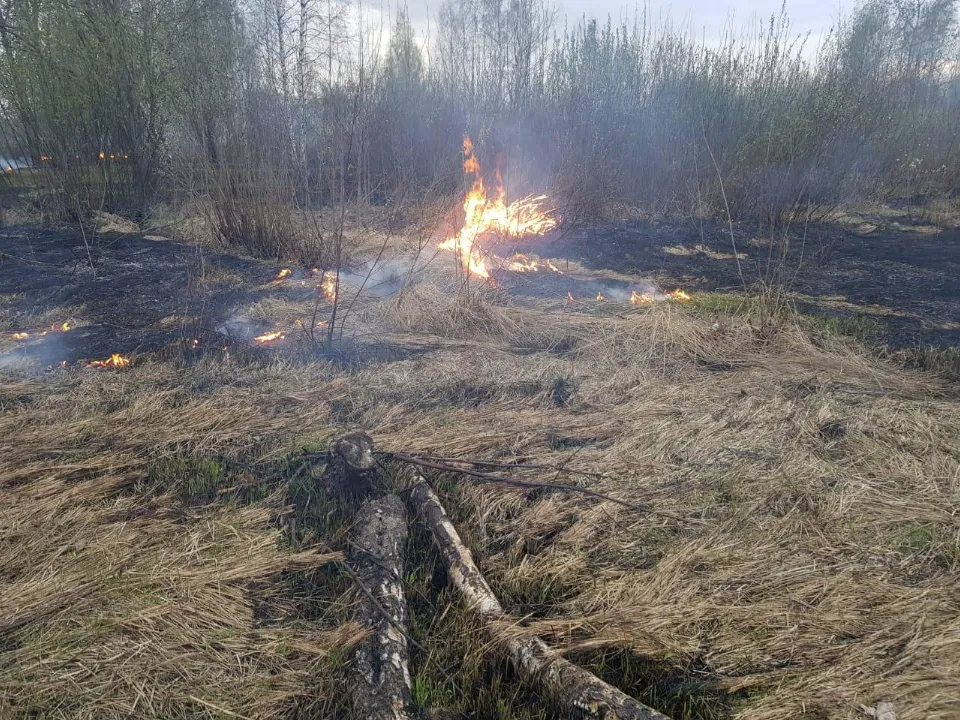Фото: ГКУ МО «Мособлпожспас»&nbsp; &nbsp;