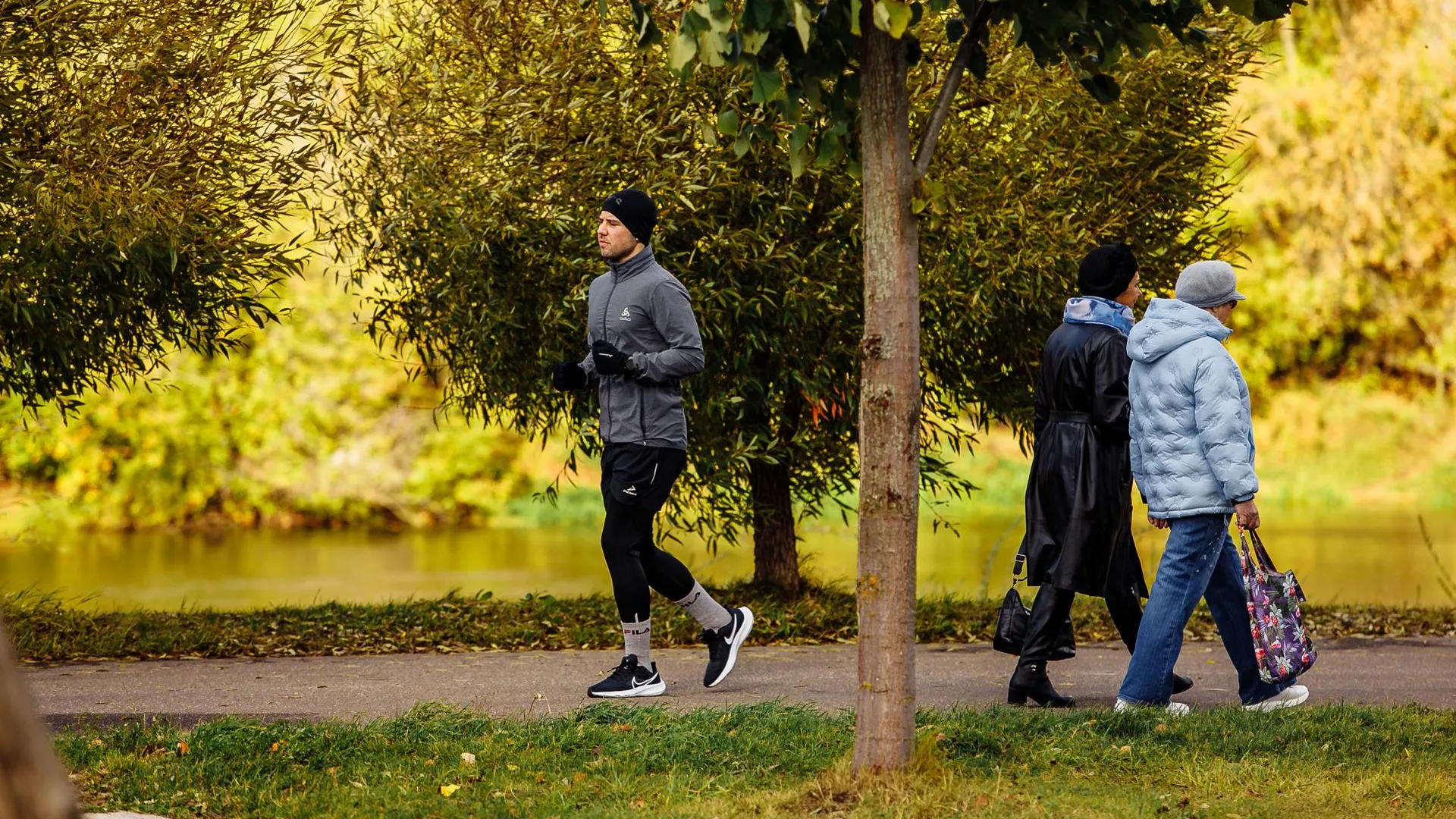 Министерство благоустройства Московской области