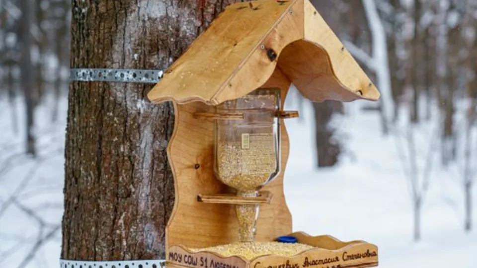 Фото: медиасток.рф