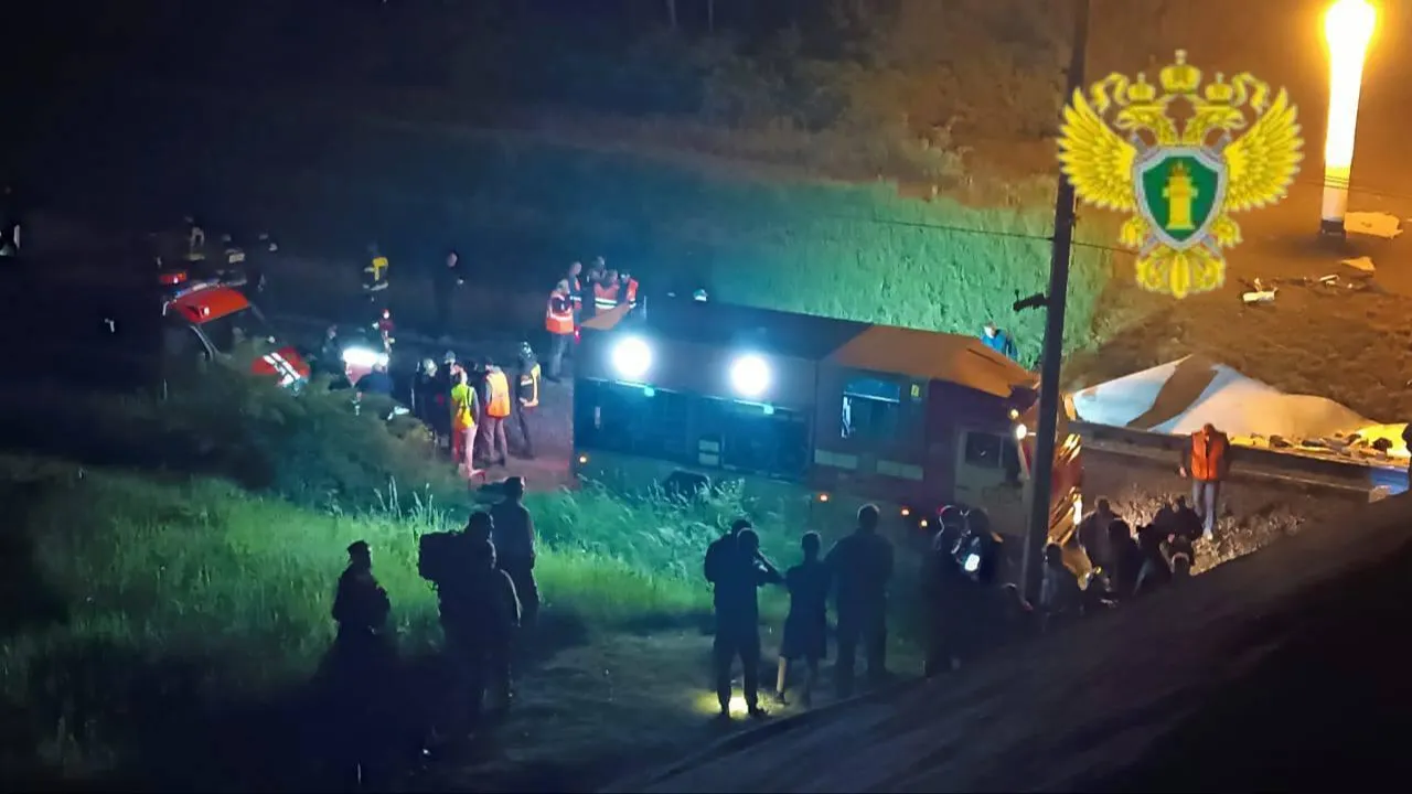 Видео с криками попавших в аварию с поездом людей в Брянской области