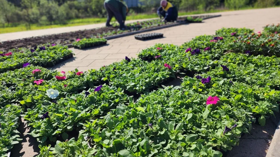 Фото: Елена Шумакова